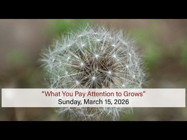 What You Pay Attention to Grows by Rev.Vanessa Rush Southern